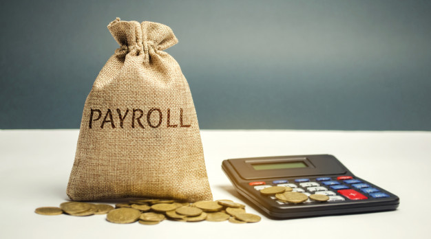 Reading Payroll Data in SAP